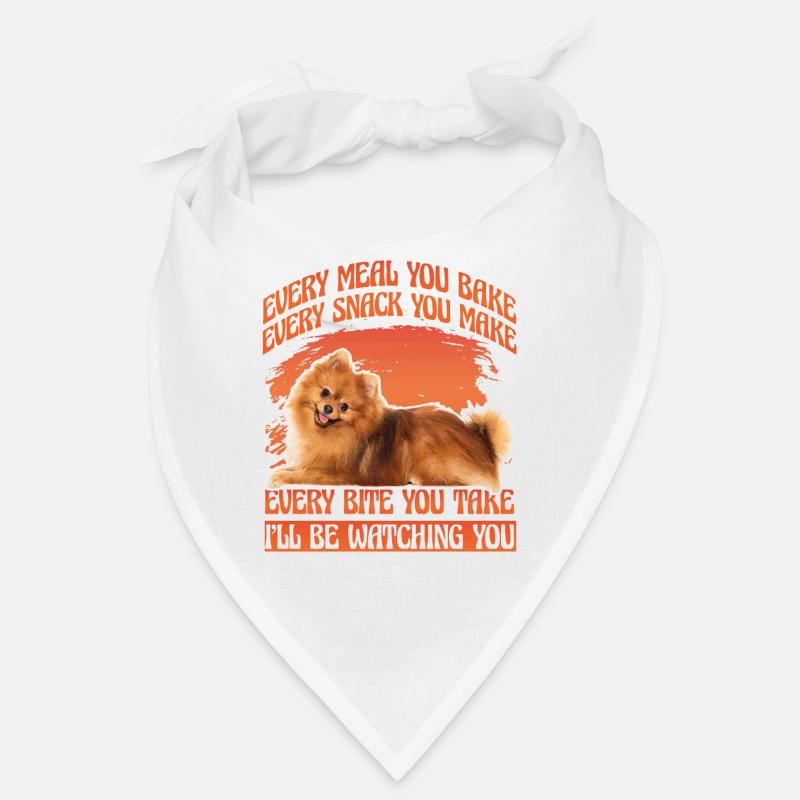 Zwergspitz de Poméranie Bandana