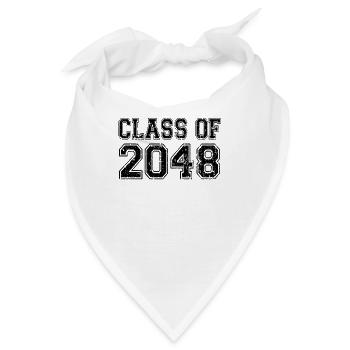 Klasse von 2048 - Bandana - Weiß - Vorne