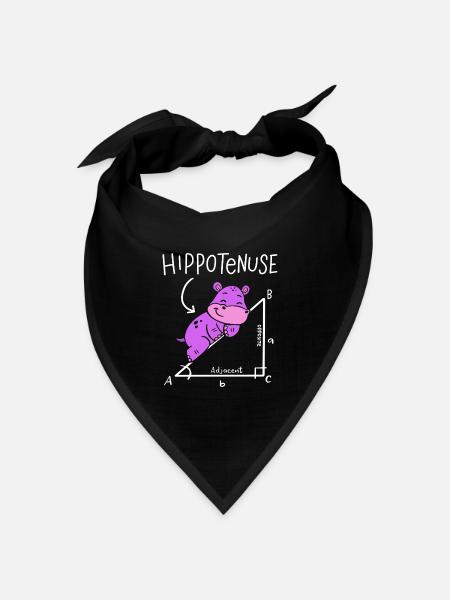 Hippotenuse Hypotenuse Triangle Geometry Math - Bandana Dreieckstuch - Schwarz