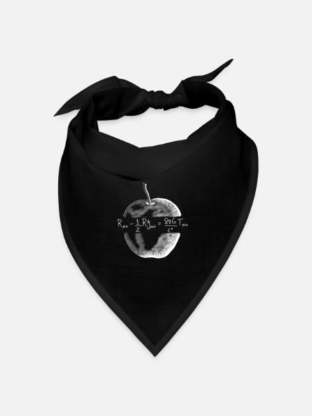 Gleichung der allgemeinen Relativitätsgleichheit - Bandana Dreieckstuch - Schwarz
