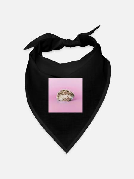 Schlafender Igel auf blassrosa Hintergrund - Bandana Dreieckstuch - Schwarz