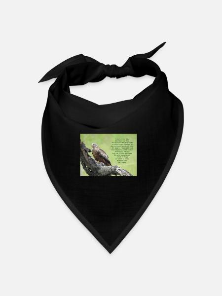 Milan - Bandana Dreieckstuch - Schwarz