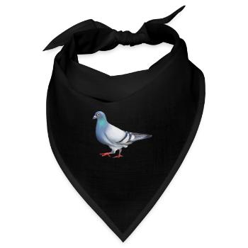 TAUBE - Bandana Dreieckstuch - Schwarz - Vorne