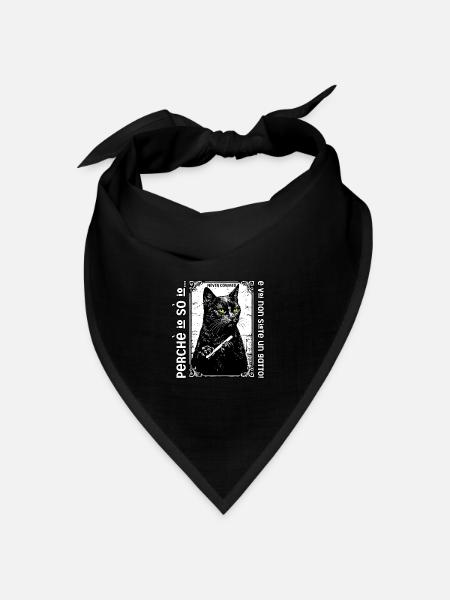 Ich weiß, dass du und ich keine Katze sind! - Bandana Dreieckstuch - Schwarz