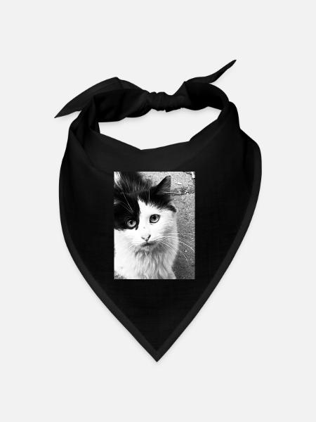 Katzen - Bandana Dreieckstuch - Schwarz