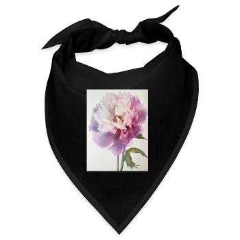 Poster Stock FL 5 - Bandana Dreieckstuch - Schwarz - Vorne