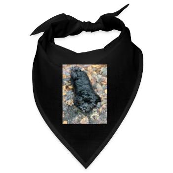 Havaneser forever - Bandana Dreieckstuch - Schwarz - Vorne