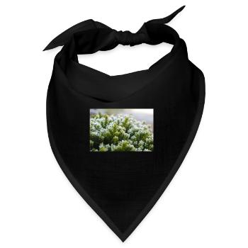 Moos Natur Makro Shot - Bandana Dreieckstuch - Schwarz - Vorne