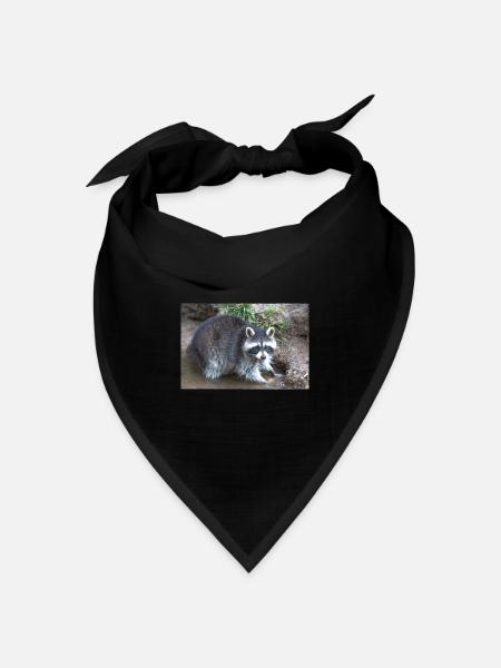 Nordamerikanischer Waschbär (racoons) - Bandana Dreieckstuch - Schwarz