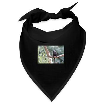 Schwarzmanteltamarin Schwarzrückentamarin - Bandana Dreieckstuch - Schwarz - Vorne