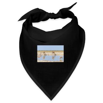 Giraffe und Landschaft im Etosha Nationalpark - Bandana Dreieckstuch - Schwarz - Vorne