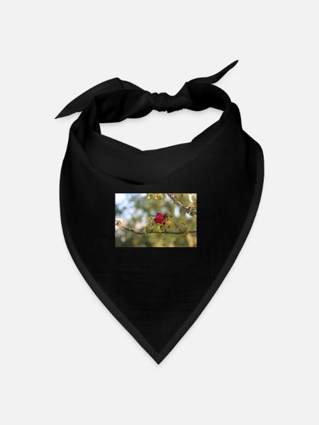 Der rote Apfel - Bandana Dreieckstuch - Schwarz