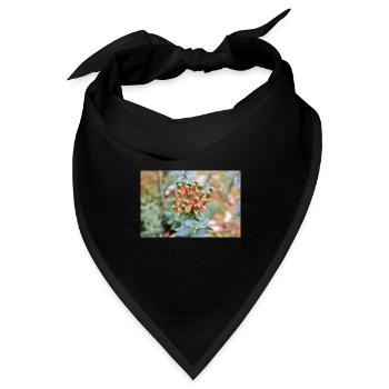 blühende bunte Wolfsmilch (Euphorbia) Blume - Bandana Dreieckstuch - Schwarz - Vorne