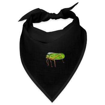 my Giant Hooded Katydid. nature pic, no graphics - Bandana Dreieckstuch - Schwarz - Vorne