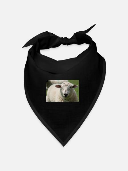 Nahaufnahme eines Schafes - Bandana Dreieckstuch - Schwarz