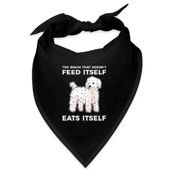 Pudel Hund Zwergpudel Toy Pudel Kleinpudel Welpe - Bandana Dreieckstuch - Schwarz - Vorne