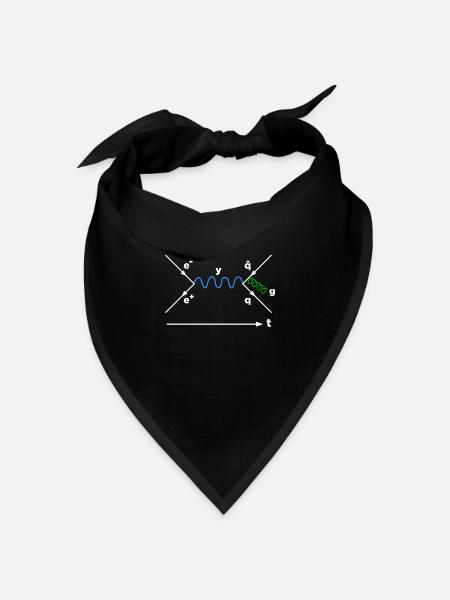 Feynman Diagramm Physik Physiker Mathematiker - Bandana Dreieckstuch - Schwarz