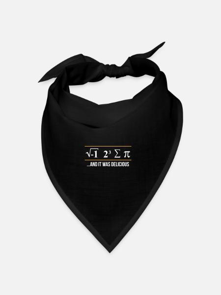 Physik - Bandana Dreieckstuch - Schwarz