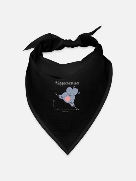 Hippotenuse - für Mathelehrer und Mathematiker - Bandana Dreieckstuch - Schwarz