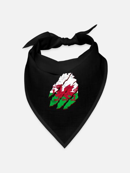 Wales Flagge St Davids Day Cymraeg Waliser Wappen - Bandana Dreieckstuch - Schwarz