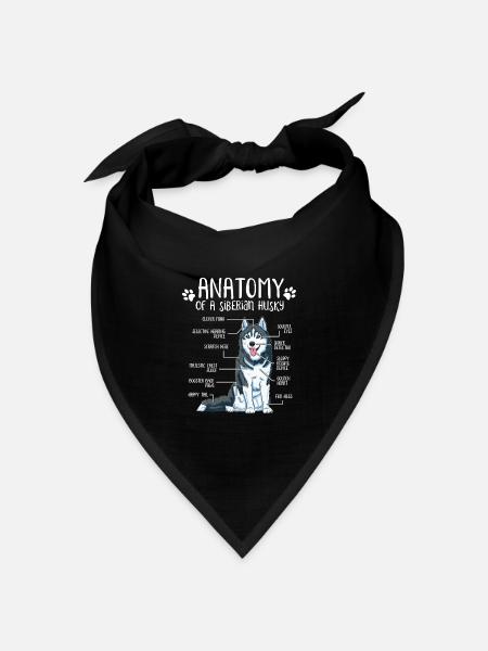 Siberian Husky Anatomie Hundehalter Hund Geschenk - Bandana Dreieckstuch - Schwarz