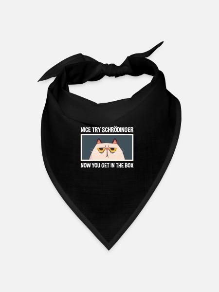 Netter Versuch Schrödinger Physik Physiker - Bandana Dreieckstuch - Schwarz
