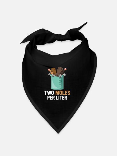 Two moles per liter Wissenschaftler Physiker - Bandana Dreieckstuch - Schwarz