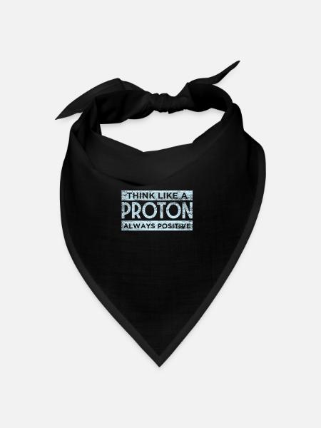 Physik - Bandana Dreieckstuch - Schwarz
