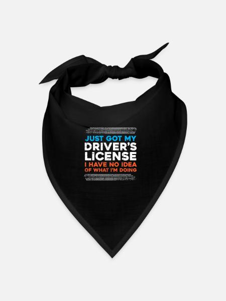 Gerade bekam mein Führerschein - Führerschein - - Bandana Dreieckstuch - Schwarz