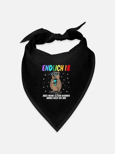 18 Geburtstag Fun Geschenk lustig 18. Ehrentag - Bandana Dreieckstuch - Schwarz