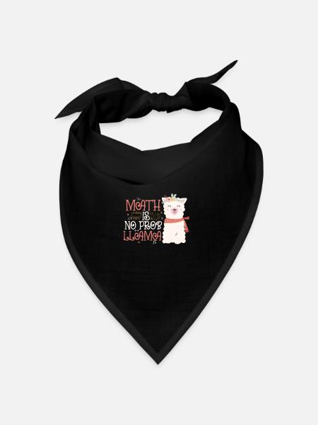 Mathematik Mathe Mathematiker Mathelehrer Geschenk - Bandana Dreieckstuch - Schwarz
