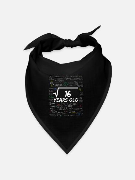 Square Root of 16 4TH Funny Math Birthday - Bandana Dreieckstuch - Schwarz
