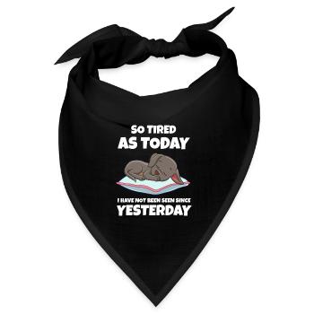 Schlafen Süß Geschenk - Bandana Dreieckstuch - Schwarz - Vorne