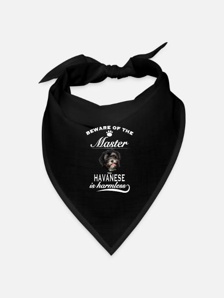 Beware of the master, harmless Havanese Havaneser - Bandana Dreieckstuch - Schwarz