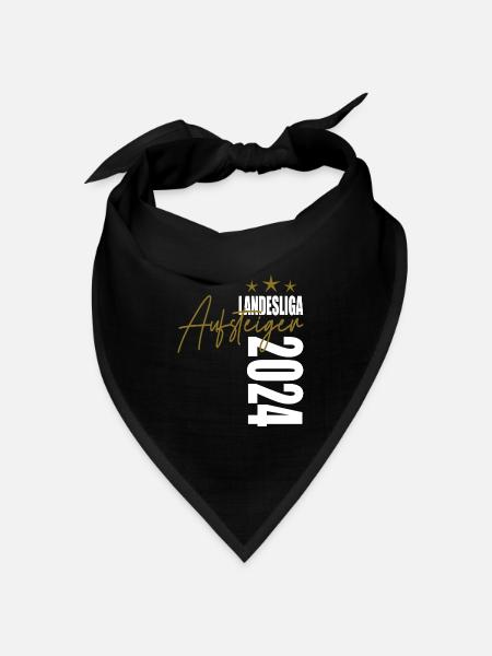 Aufsteiger Landesliga 2024 Aufstiegstrikot - Bandana Dreieckstuch - Schwarz