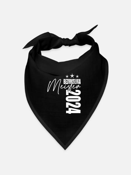 Meister Bezirksliga 2024 Aufstiegstrikot - Bandana Dreieckstuch - Schwarz