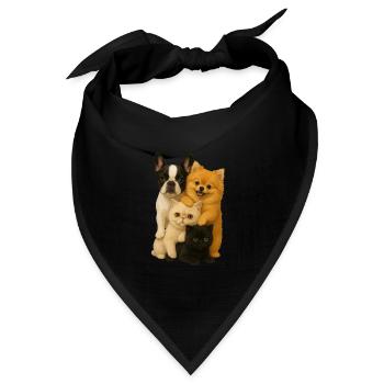 Französische Bulldogge Zwergspitz Exotic Shorthair - Bandana Dreieckstuch - Schwarz - Vorne