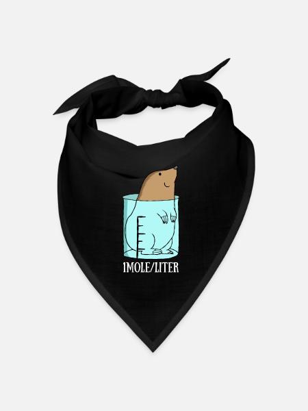 Chemie - Bandana Dreieckstuch - Schwarz
