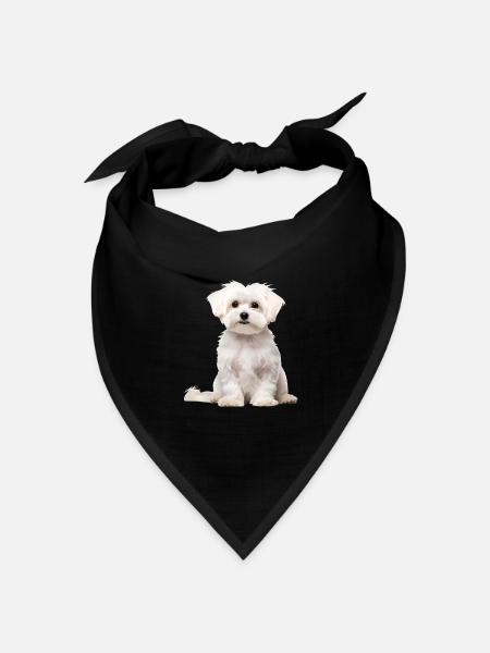 Maltese - Bandana Dreieckstuch - Schwarz