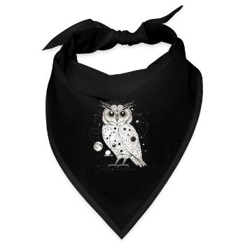 Eule im Weltall | Weltall in Eule - Bandana Dreieckstuch - Schwarz - Vorne