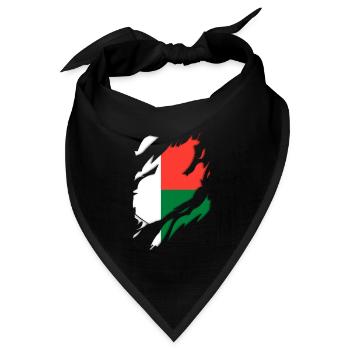 Madagaskar Flagge zerrissenes Motiv - Bandana Dreieckstuch - Schwarz - Vorne