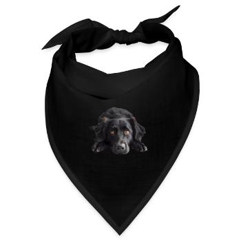 Flat Coated Retriever - Bandana Dreieckstuch - Schwarz - Vorne