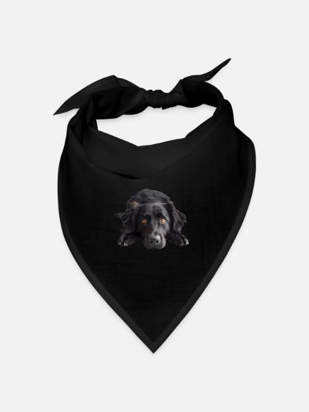 Flat Coated Retriever - Bandana Dreieckstuch - Schwarz