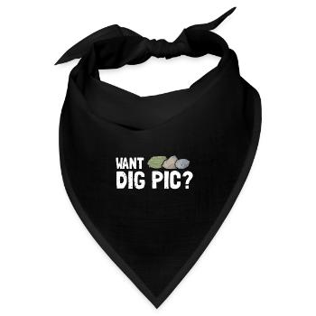 Mineraliensammler und Erze Mineralien Fan - Bandana Dreieckstuch - Schwarz - Vorne