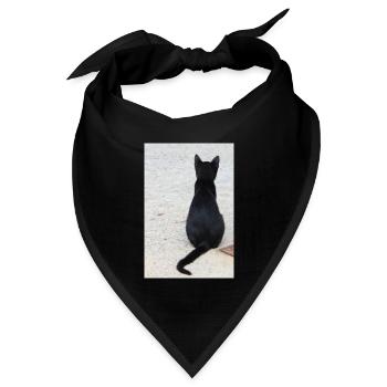 Katze Kätzchen Katzenshirt Geschenk - Bandana Dreieckstuch - Schwarz - Vorne