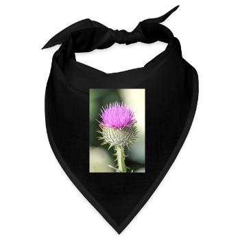 cotton thistle also Scotch or Scottish thistle - Bandana Dreieckstuch - Schwarz - Vorne