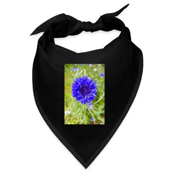 bluebottle also cornflower Kornblume Zyane - Bandana Dreieckstuch - Schwarz - Vorne