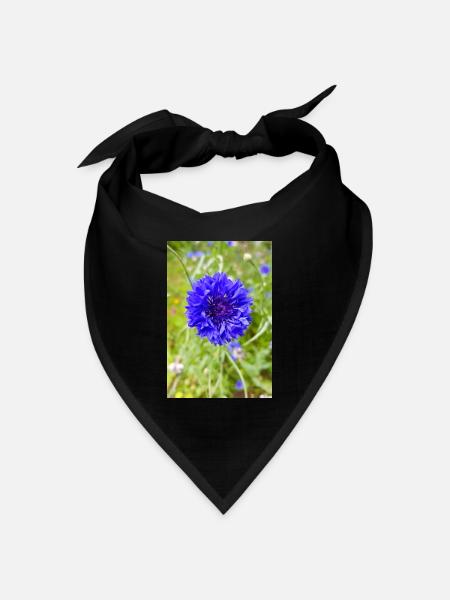 bluebottle also cornflower Kornblume Zyane - Bandana Dreieckstuch - Schwarz