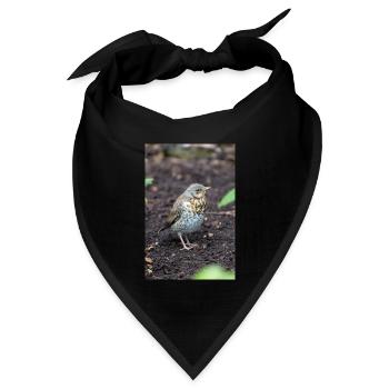 Fieldfare (auf Deutsch Wacholderdrossel) Turdus pila - Bandana Dreieckstuch - Schwarz - Vorne