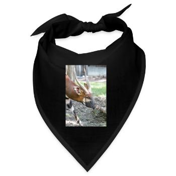 Östlicher Bongo Tragelaphus euryce - Bandana Dreieckstuch - Schwarz - Vorne